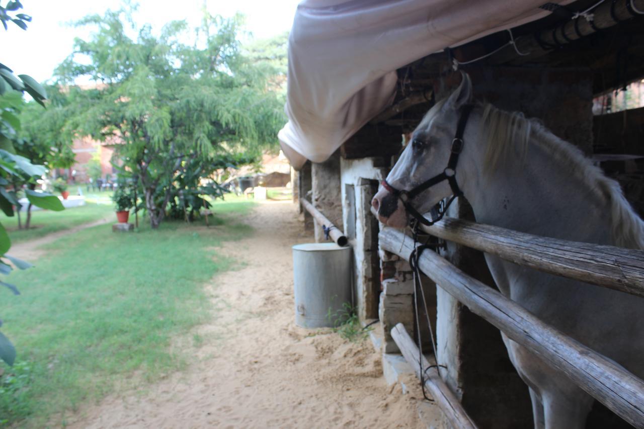 Shannu's Ranch Inn Pushkar Bagian luar foto